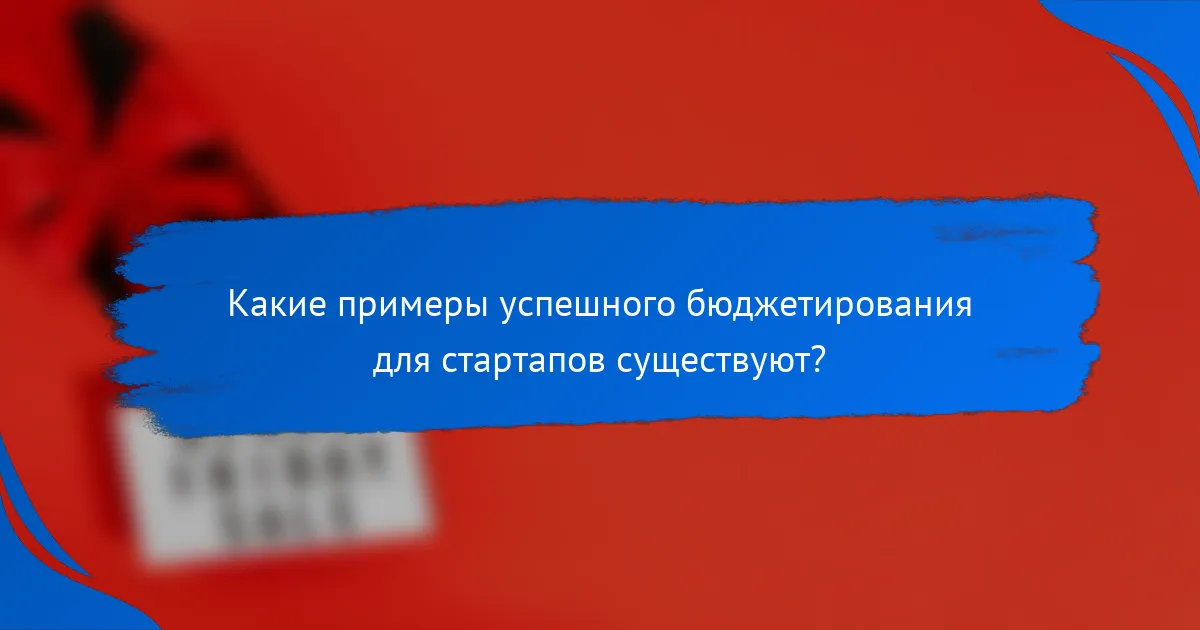 Какие примеры успешного бюджетирования для стартапов существуют?